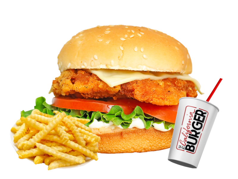 #9 Spicy Chicken Sandwich Meal