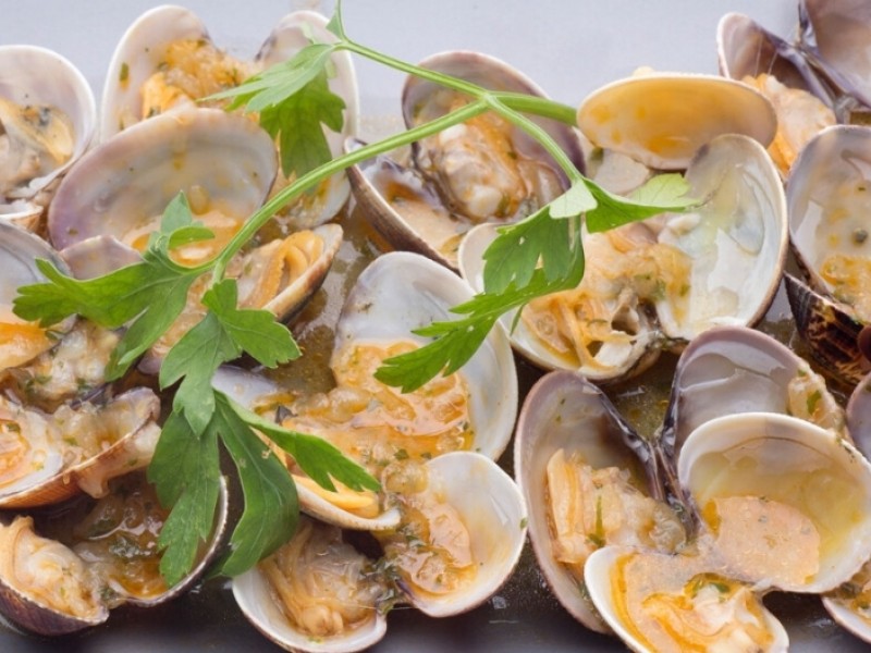 10.Alemjas Crudas Appetizers
