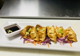 Gyoza (6)
