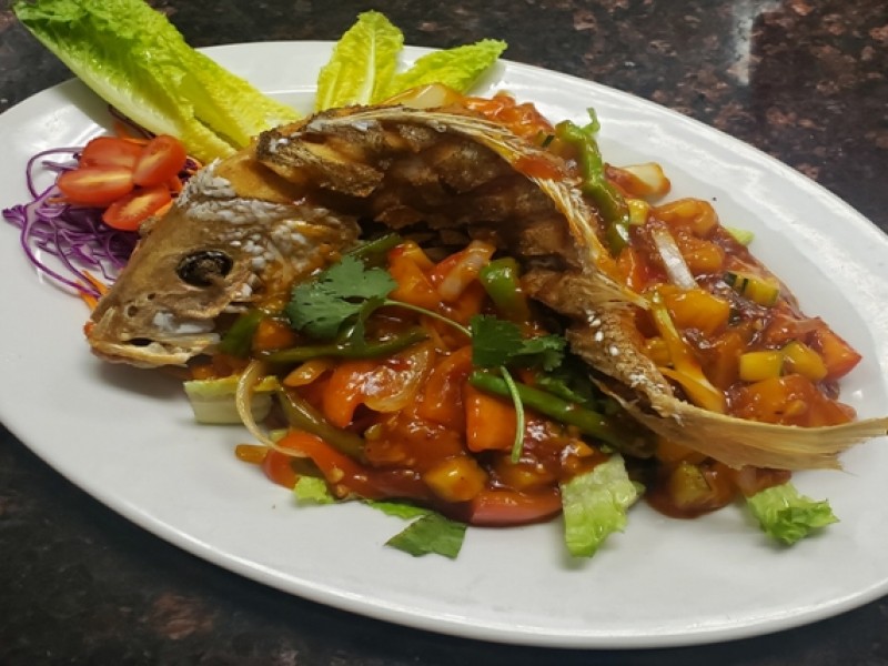 Red Snapper