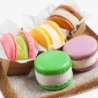 Macaron Ice Cream