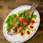 FISH