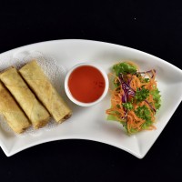 APPETIZERS