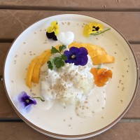 SWEET DESSERT