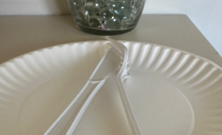 Plastics & Plates