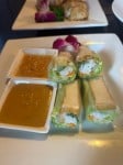 APPETIZERS