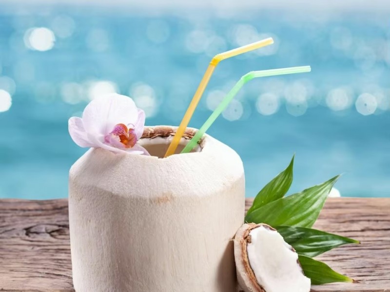 Fresh Coconut Ice-cream