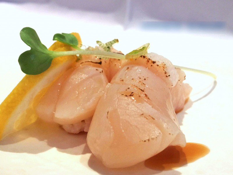 SCALLOP