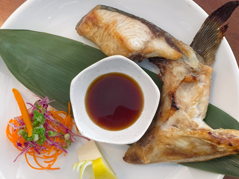 YELLOWTAIL COLLR