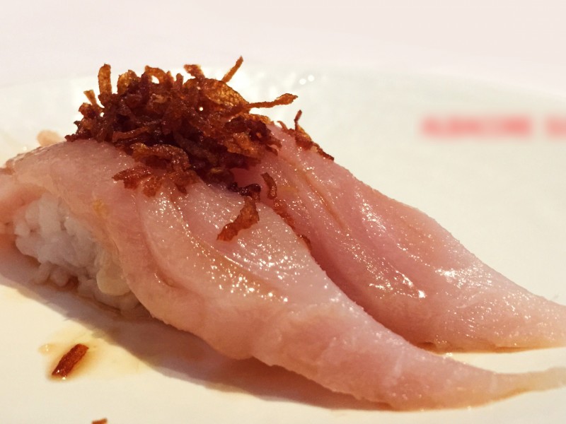 ALBACORE