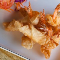 APPETIZER