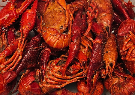 menu-dish