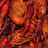 Crawfish
