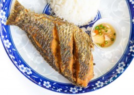 Tilapia