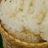 Sticky Rice
