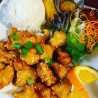 L3. Orange Chicken