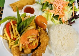 L11. Amazing Shrimp