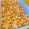 Crab Cheese Wonton