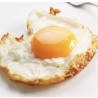 Fried Egg