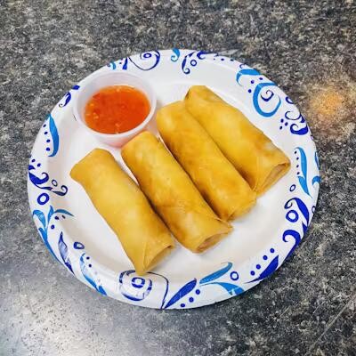 Vegetable Spring Rolls (4)