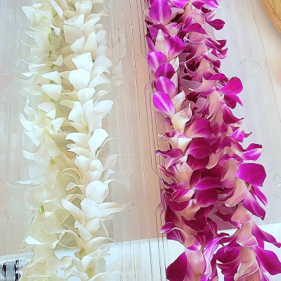 Graduation Lei