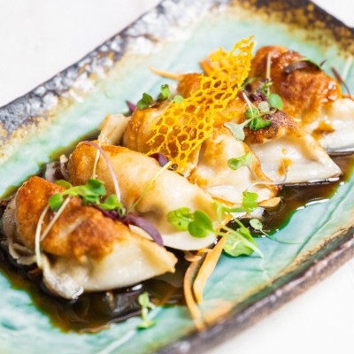 Chicken Pot Sticker (5)