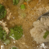 Chicken Rice Soup