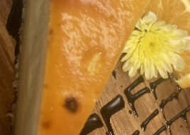 Creme Brulee Cheesecake