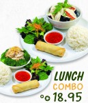 COMBO LUNCH