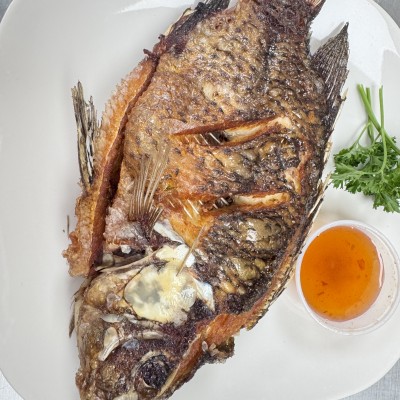 Fried Whole Tilapia