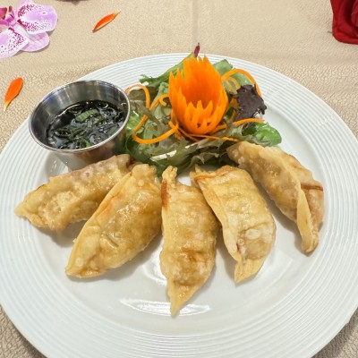 Fried Potstickers