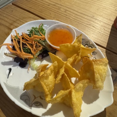 A12 Crab Rangoon (5)