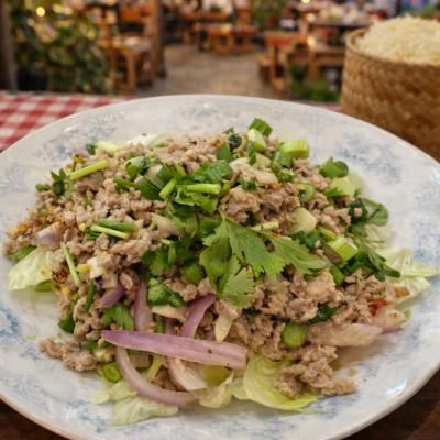 SA2 Larb Salad