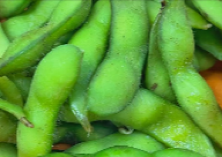 menu-dish