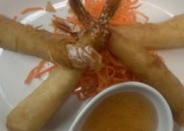 SHRIMP BIKINI (5)