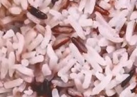 Rice
