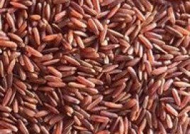 BROWN RICE