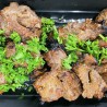 One Skewer Filet Mignon Kebab