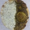 Half Zaatar Half Cheese