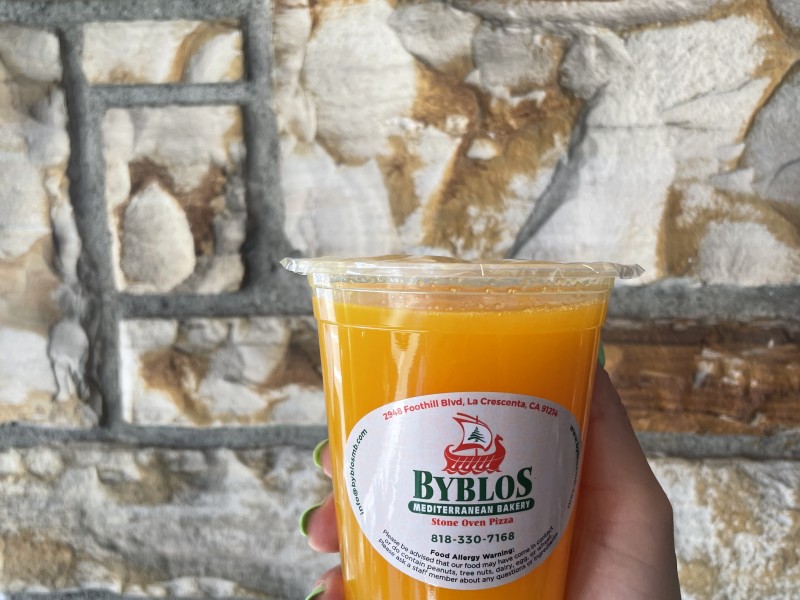 Fresh Squeezed Orange Juice 20 Oz