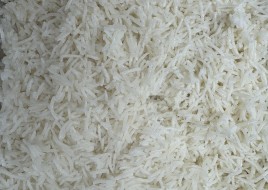 Rice