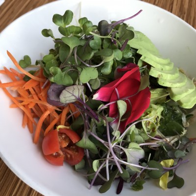 Spring Salad