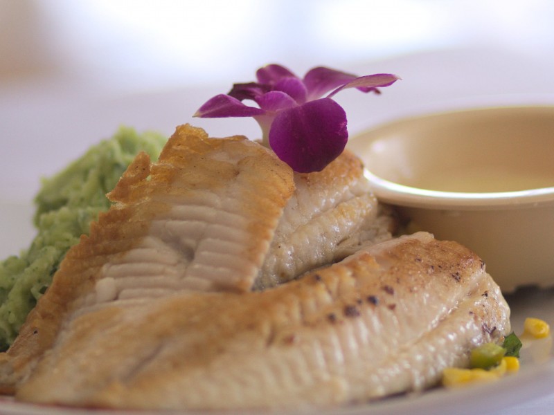 Lemon Butter Tilapia