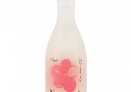 Jun Mai Gingo 300ml bottle