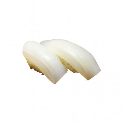 Squid