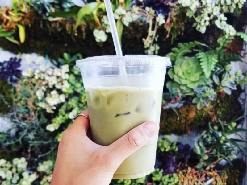 Matcha  (Hot or Iced)