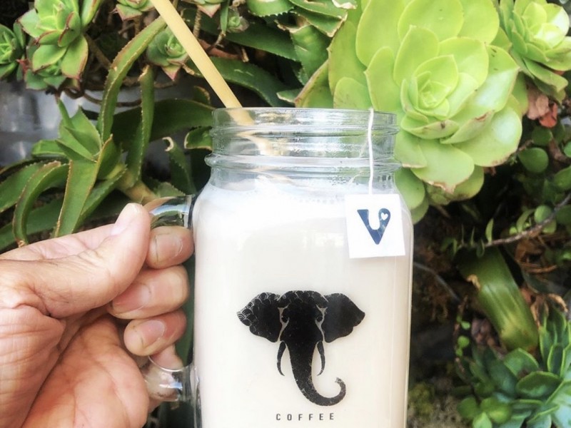 Honey Ginger CBD Tea Latte