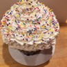 Cupcake Giant 2 lb with Sprinkle