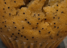 Lemon Poppyseed Muffin
