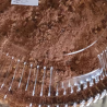 Apple Cinnamon Nut Cake